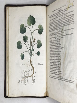 De historia stirpium commentarii insignes, maximis impensis et vigiliis elaborati, adiectis earundem vivis plusquam quingentis imaginibus, nunquam antea ad natur&aelig; imitationem artificiosius effictis & expressis, Leonharto Fuchsio medico hac nostra &aelig;tate long&egrave; clarissimo, autore. . .