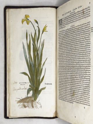 De historia stirpium commentarii insignes, maximis impensis et vigiliis elaborati, adiectis earundem vivis plusquam quingentis imaginibus, nunquam antea ad natur&aelig; imitationem artificiosius effictis & expressis, Leonharto Fuchsio medico hac nostra &aelig;tate long&egrave; clarissimo, autore. . .