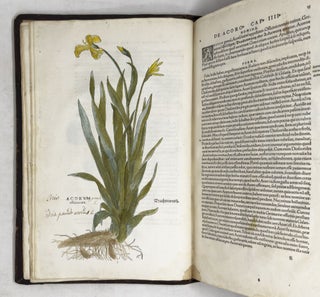 De historia stirpium commentarii insignes, maximis impensis et vigiliis elaborati, adiectis earundem vivis plusquam quingentis imaginibus, nunquam antea ad naturæ imitationem artificiosius effictis & expressis, Leonharto Fuchsio medico hac nostra ætate longè clarissimo, autore. . .