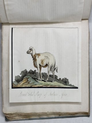 An account of the Cape of Good Hope; containing An Historical View of its original Settlement by the Dutch, its Capture by the British in 1795, and the different Policy pursued there by the Dutch and British Governments. Also a Sketch of its Geography, Productions, the Manners and Customs of the Inhabitants, &c. &c. with a view of the political and commercial advantages which might be derived from its possession by Great Britain