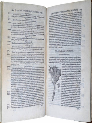 Ioannis Fabri Lyncei Bambergensis, medici et professoris romani, Et iam quinque Summis Pontificibus ab Herbarijs studijs Animalia Mexicana Descriptionibus, scholijsq. exposita. Thesauri rerum medicarum Novae Hispania, seu plantarum, animalium, mineralium mexicanorum historiae Francisci Hernandi novi orbis medici primarii, et Nardi Antonii Recchi montecorvinatis Philippi II. Hispaniarum & Indiarum &c. Regis Medici, & Neap. Regni Archiatri generalis: &agrave; Lynceis, notis, commentarijs, auctarijs illustratae, & edit&aelig;: scilicet primi Tomi pars. Ad illustriss. et reverendiss. d. d. Franciscum Barberinum, S.R.E. Card. Amplissimum WITH [Rerum medicarum Nov&aelig; Hispani&aelig; thesaurus seu plantarum animalium mineralium Mexicanorum]