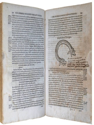 Ioannis Fabri Lyncei Bambergensis, medici et professoris romani, Et iam quinque Summis Pontificibus ab Herbarijs studijs Animalia Mexicana Descriptionibus, scholijsq. exposita. Thesauri rerum medicarum Novae Hispania, seu plantarum, animalium, mineralium mexicanorum historiae Francisci Hernandi novi orbis medici primarii, et Nardi Antonii Recchi montecorvinatis Philippi II. Hispaniarum & Indiarum &c. Regis Medici, & Neap. Regni Archiatri generalis: &agrave; Lynceis, notis, commentarijs, auctarijs illustratae, & edit&aelig;: scilicet primi Tomi pars. Ad illustriss. et reverendiss. d. d. Franciscum Barberinum, S.R.E. Card. Amplissimum WITH [Rerum medicarum Nov&aelig; Hispani&aelig; thesaurus seu plantarum animalium mineralium Mexicanorum]