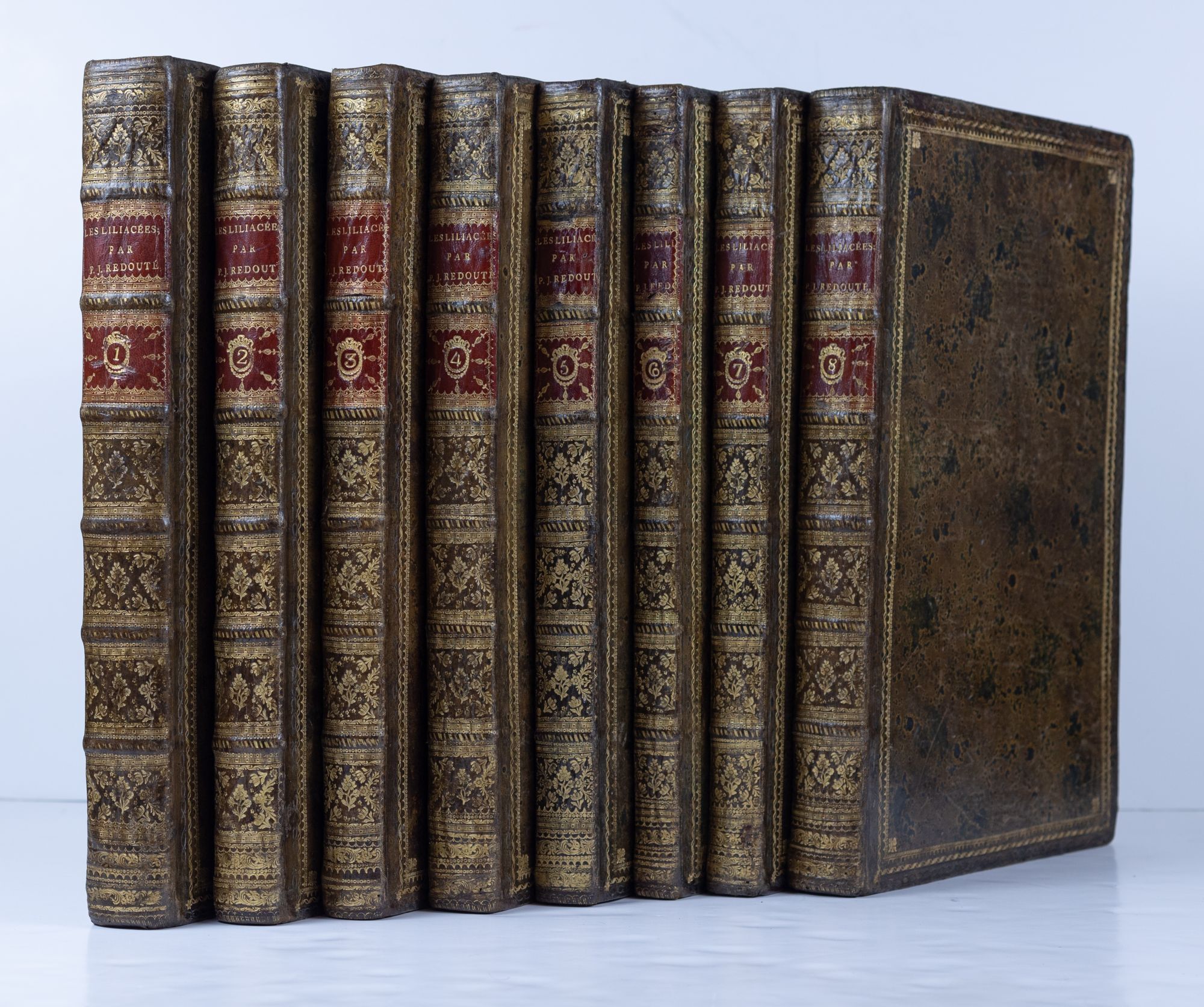 The brown-and-gold bindings of the eight-volume set of Redouté's Liliacées
