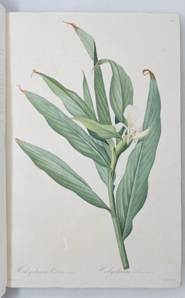 Les Liliacées