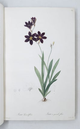Les Liliacées
