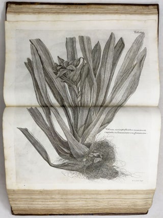 A voyage To the Islands Madera, Barbados, Nieves, S. Christophers and Jamaica,
