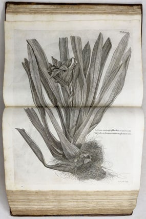 A voyage To the Islands Madera, Barbados, Nieves, S. Christophers and Jamaica,