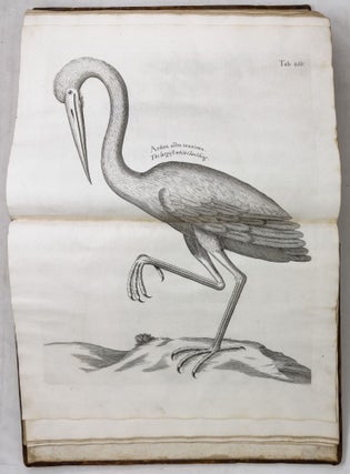 A voyage To the Islands Madera, Barbados, Nieves, S. Christophers and Jamaica,