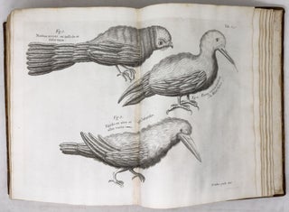 A voyage To the Islands Madera, Barbados, Nieves, S. Christophers and Jamaica,