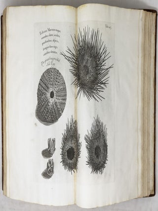 A voyage To the Islands Madera, Barbados, Nieves, S. Christophers and Jamaica,