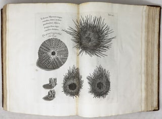 A voyage To the Islands Madera, Barbados, Nieves, S. Christophers and Jamaica,