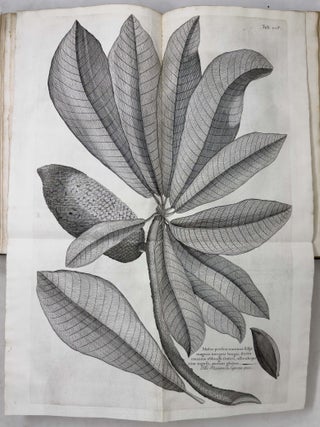 A voyage To the Islands Madera, Barbados, Nieves, S. Christophers and Jamaica,