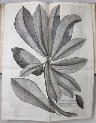 A voyage To the Islands Madera, Barbados, Nieves, S. Christophers and Jamaica,
