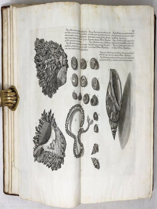 A voyage To the Islands Madera, Barbados, Nieves, S. Christophers and Jamaica,