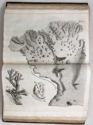 A voyage To the Islands Madera, Barbados, Nieves, S. Christophers and Jamaica,