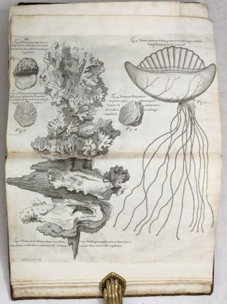 A voyage To the Islands Madera, Barbados, Nieves, S. Christophers and Jamaica,