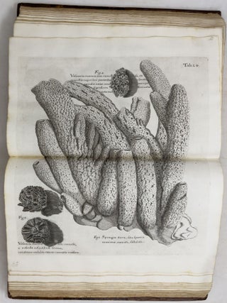 A voyage To the Islands Madera, Barbados, Nieves, S. Christophers and Jamaica,
