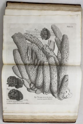 A voyage To the Islands Madera, Barbados, Nieves, S. Christophers and Jamaica,