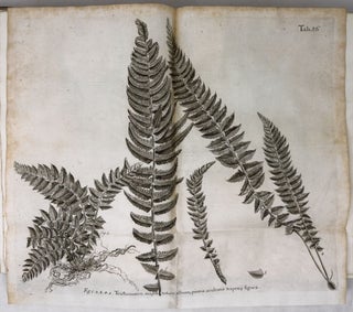 A voyage To the Islands Madera, Barbados, Nieves, S. Christophers and Jamaica,