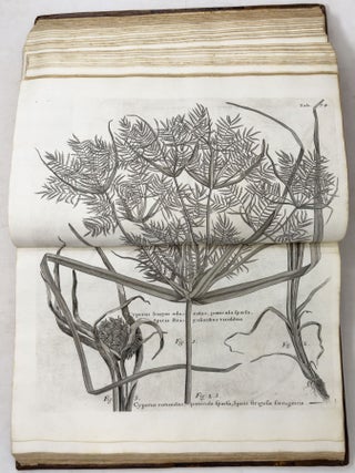 A voyage To the Islands Madera, Barbados, Nieves, S. Christophers and Jamaica,