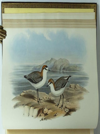 The Birds of Australia & Supplement
