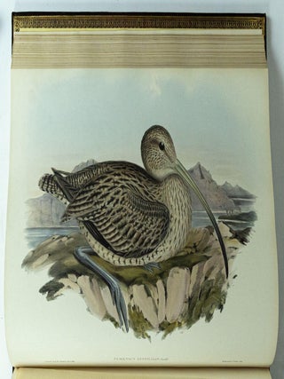 The Birds of Australia & Supplement