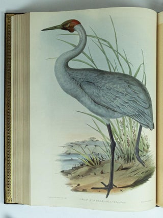 The Birds of Australia & Supplement
