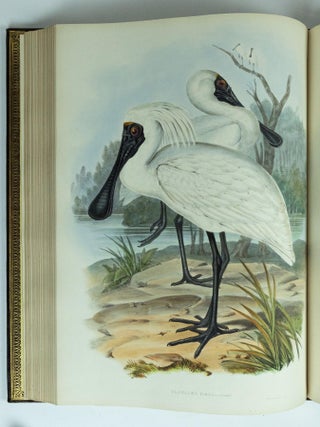 The Birds of Australia & Supplement