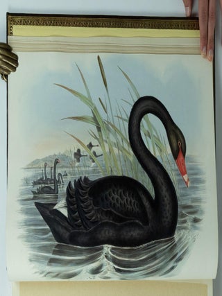 The Birds of Australia & Supplement