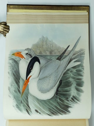The Birds of Australia & Supplement