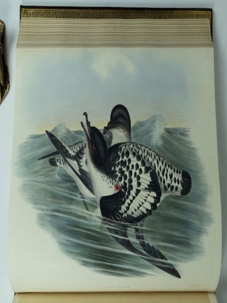 The Birds of Australia & Supplement