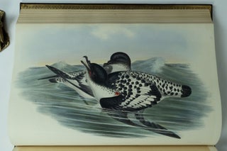The Birds of Australia & Supplement