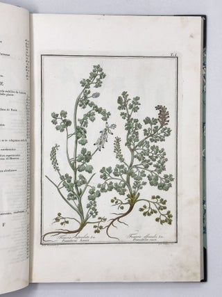 Materia medica vegetabile toscana del dottor Gaetano Savi professor di fisica nell'Universit&agrave; di Pisa