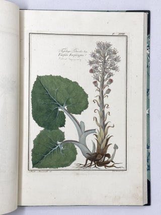Materia medica vegetabile toscana del dottor Gaetano Savi professor di fisica nell'Universit&agrave; di Pisa