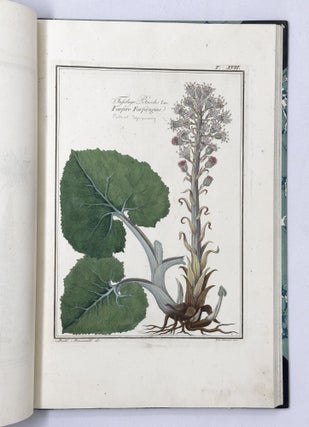 Materia medica vegetabile toscana del dottor Gaetano Savi professor di fisica nell'Università di Pisa