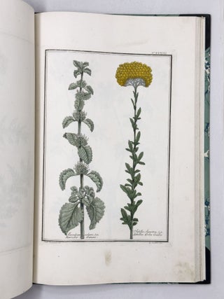 Materia medica vegetabile toscana del dottor Gaetano Savi professor di fisica nell'Universit&agrave; di Pisa