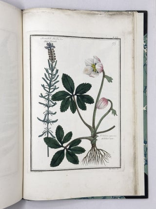 Materia medica vegetabile toscana del dottor Gaetano Savi professor di fisica nell'Universit&agrave; di Pisa