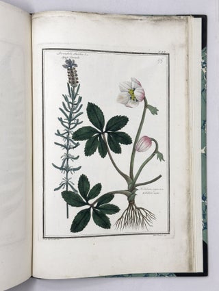 Materia medica vegetabile toscana del dottor Gaetano Savi professor di fisica nell'Università di Pisa