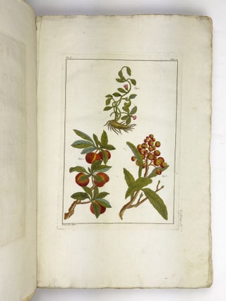 Herbier ou collection des plantes medicinales de la Chine D'apr&egrave;s un Manuscrit peint et unique qui se trouve dans la Bibliotheque de l'Empereur de la Chine, pour servir de suitte a la collection des fleurs qui se cultivent dans les Jardins de la Chine et de l'Europe. Dirig&eacute; par les Soins de M.r Buc'hoz, M&eacute;decin de Monsieur