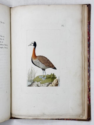 Beytr&auml;ge zur Geschichte de V&ouml;gel herausgegeben von Joseph Franz Edlen von Jacquin, der physisch-medizinischen Gesellschaft zu Basel Mitgliede. Mit ausgemahlten Kupfertafeln