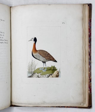 Beyträge zur Geschichte de Vögel herausgegeben von Joseph Franz Edlen von Jacquin, der physisch-medizinischen Gesellschaft zu Basel Mitgliede. Mit ausgemahlten Kupfertafeln