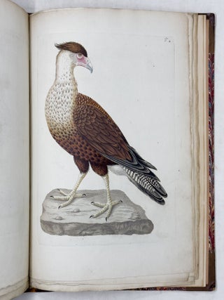 Beytr&auml;ge zur Geschichte de V&ouml;gel herausgegeben von Joseph Franz Edlen von Jacquin, der physisch-medizinischen Gesellschaft zu Basel Mitgliede. Mit ausgemahlten Kupfertafeln