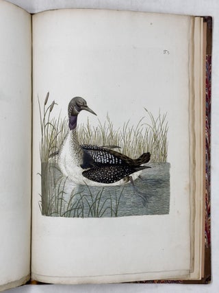 Beytr&auml;ge zur Geschichte de V&ouml;gel herausgegeben von Joseph Franz Edlen von Jacquin, der physisch-medizinischen Gesellschaft zu Basel Mitgliede. Mit ausgemahlten Kupfertafeln