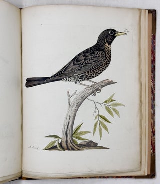 Beyträge zur Geschichte de Vögel herausgegeben von Joseph Franz Edlen von Jacquin, der physisch-medizinischen Gesellschaft zu Basel Mitgliede. Mit ausgemahlten Kupfertafeln