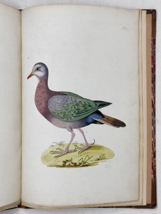 Beytr&auml;ge zur Geschichte de V&ouml;gel herausgegeben von Joseph Franz Edlen von Jacquin, der physisch-medizinischen Gesellschaft zu Basel Mitgliede. Mit ausgemahlten Kupfertafeln
