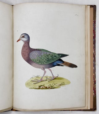 Beyträge zur Geschichte de Vögel herausgegeben von Joseph Franz Edlen von Jacquin, der physisch-medizinischen Gesellschaft zu Basel Mitgliede. Mit ausgemahlten Kupfertafeln