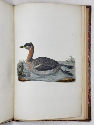 Beytr&auml;ge zur Geschichte de V&ouml;gel herausgegeben von Joseph Franz Edlen von Jacquin, der physisch-medizinischen Gesellschaft zu Basel Mitgliede. Mit ausgemahlten Kupfertafeln
