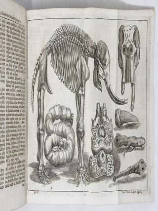 Elephantographia curiosa, seu elephanti descriptio, juxta methodum et leges Imperialis Academi&aelig; Leopoldino-Carolin&aelig; natur&aelig; curiosorum adornata, multisqve selectis observationibus physicis, medicis et jucundis historiis referta, cum figuris &aelig;neis