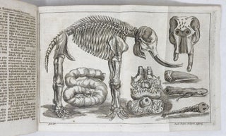 Elephantographia curiosa, seu elephanti descriptio, juxta methodum et leges Imperialis Academiæ Leopoldino-Carolinæ naturæ curiosorum adornata, multisqve selectis observationibus physicis, medicis et jucundis historiis referta, cum figuris æneis