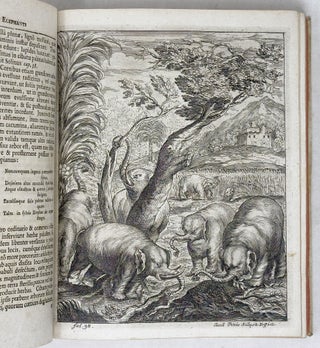 Elephantographia curiosa, seu elephanti descriptio, juxta methodum et leges Imperialis Academiæ Leopoldino-Carolinæ naturæ curiosorum adornata, multisqve selectis observationibus physicis, medicis et jucundis historiis referta, cum figuris æneis